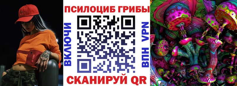 Галлюциногенные грибы Psilocybe  как найти   Руза 